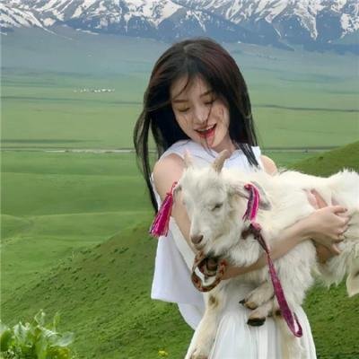 与狼共枕 在线观看